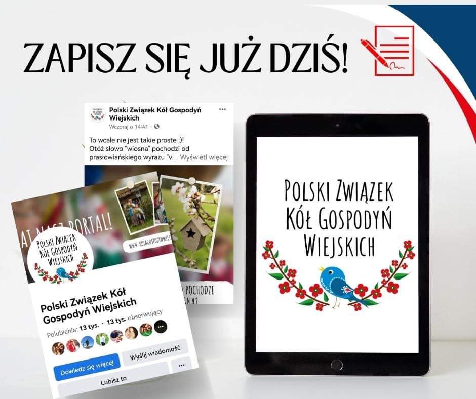 336355848 525169779550611 8133639011310484511 n