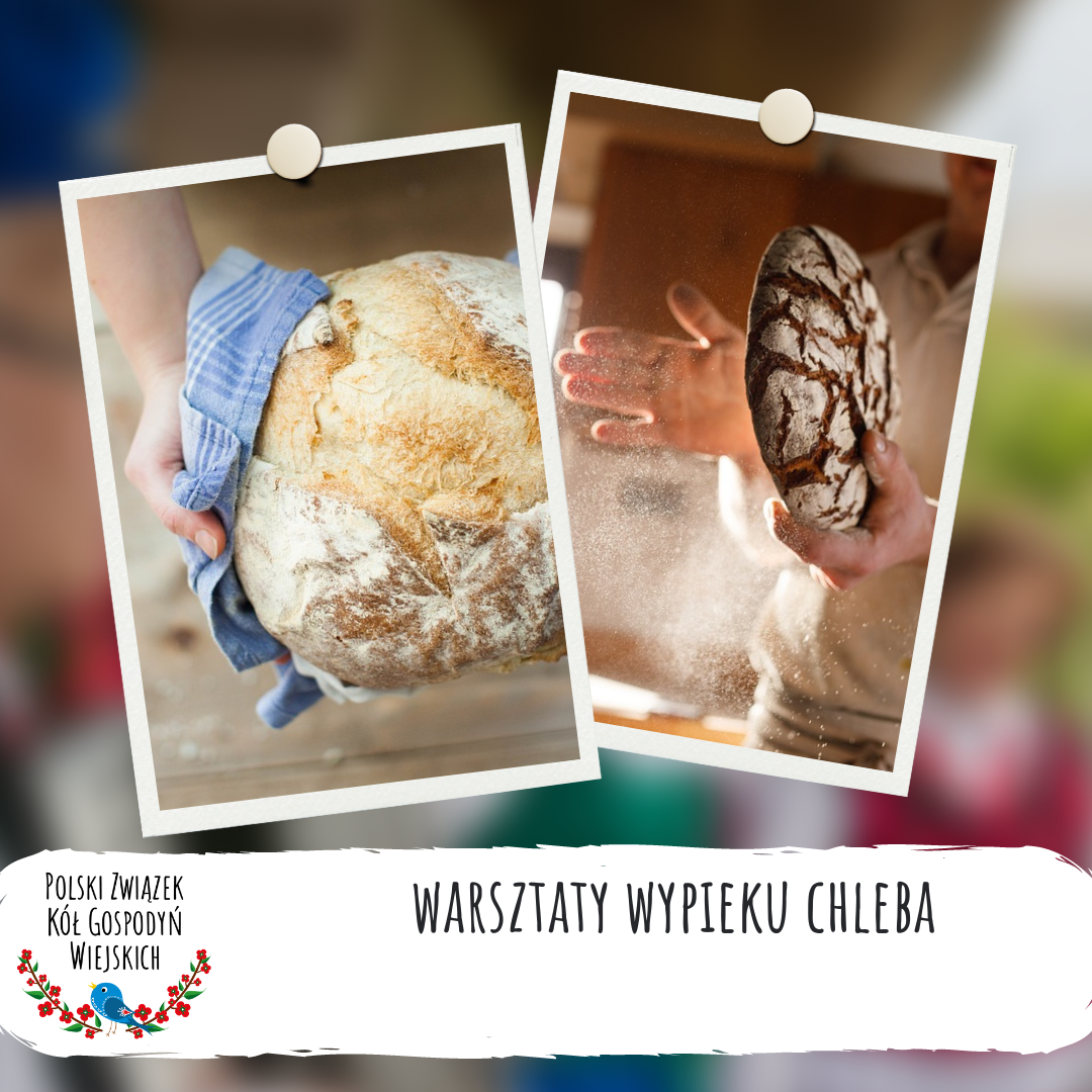 Warsztaty wypieku chleba