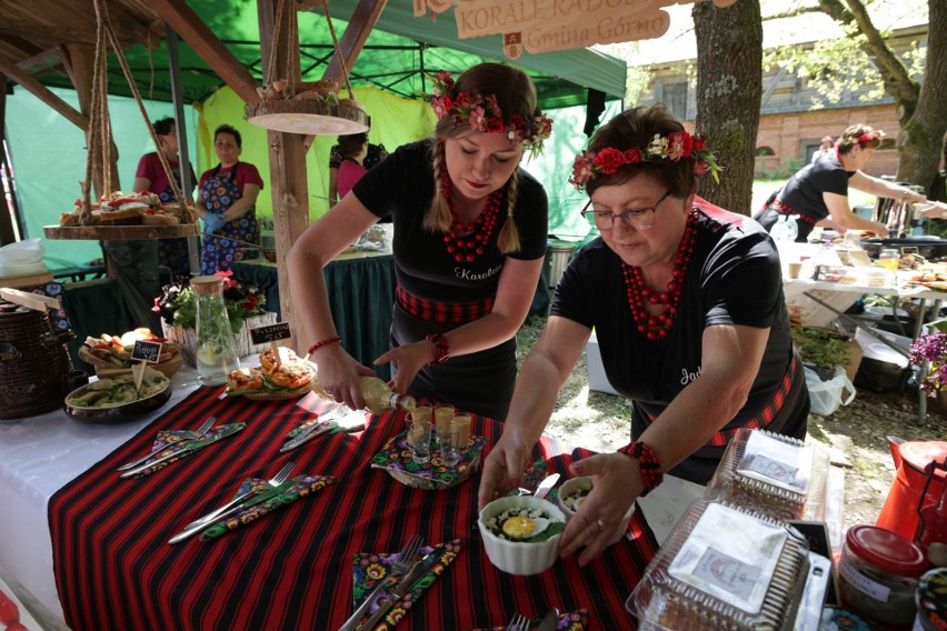 66364df4caf34 o large