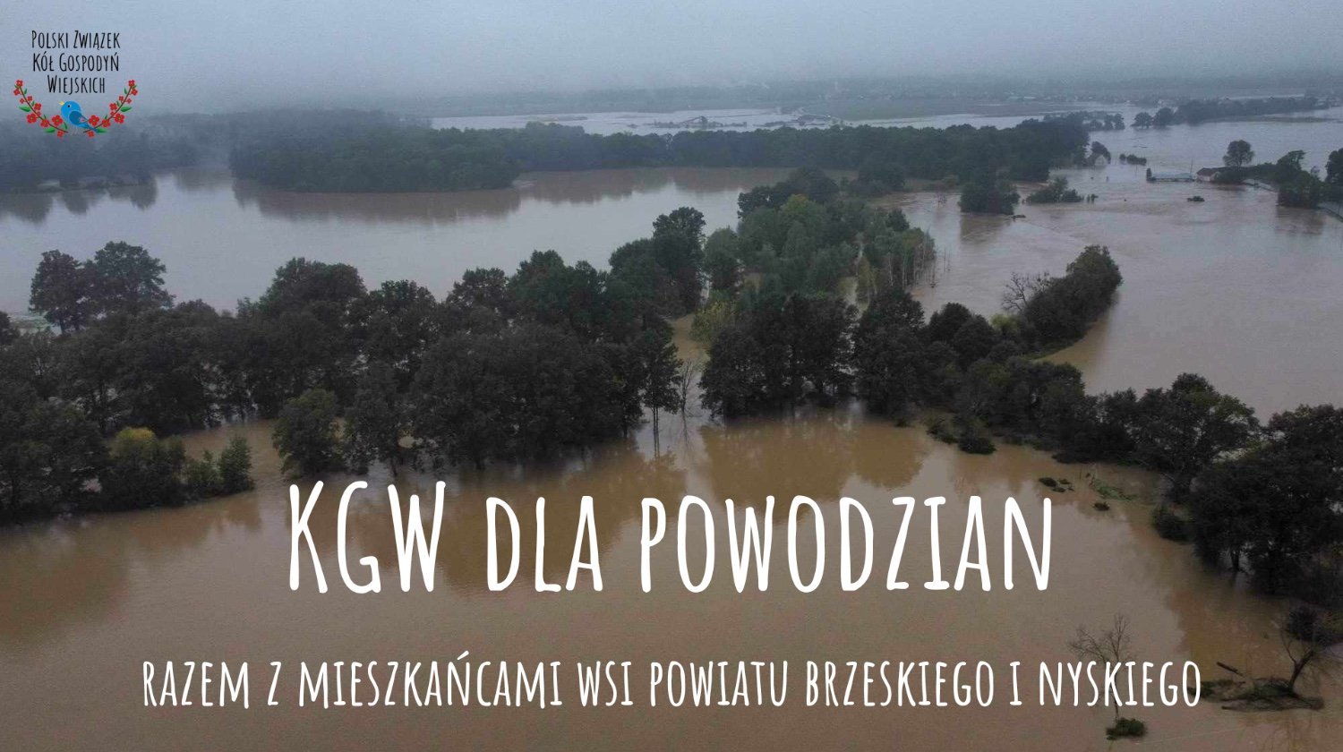 55e21113733a23de8a13f6f774333eab